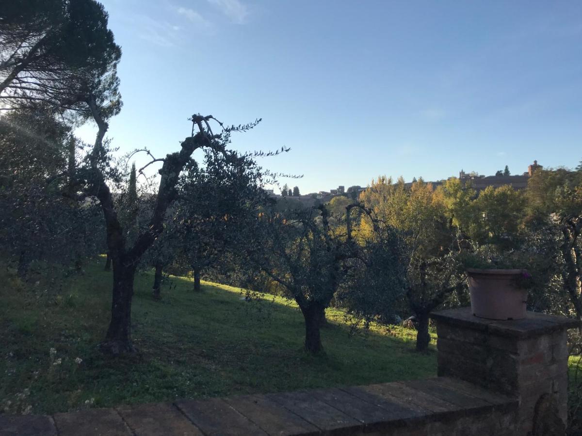 La Perla Tra Gli Ulivi Lägenhet Siena Exteriör bild