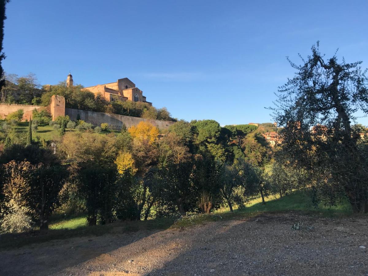 La Perla Tra Gli Ulivi Lägenhet Siena Exteriör bild